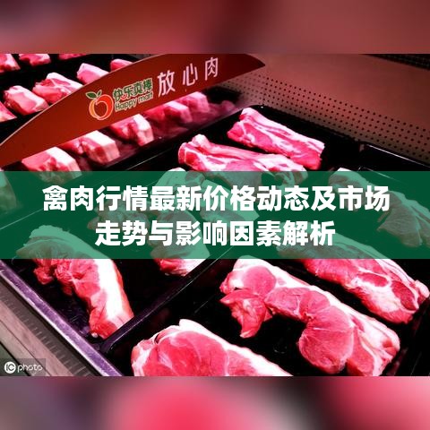 禽肉行情最新价格动态及市场走势与影响因素解析