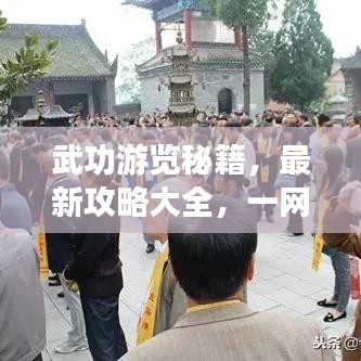 武功游览秘籍,最新攻略大全,一网打尽!