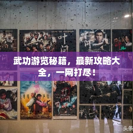 武功游览秘籍,最新攻略大全,一网打尽!