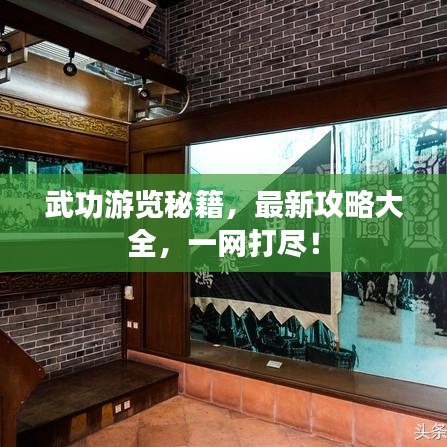 武功游览秘籍,最新攻略大全,一网打尽!
