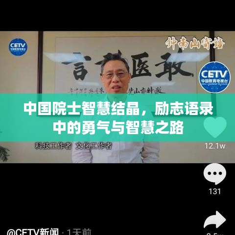 中国院士智慧结晶，励志语录中的勇气与智慧之路