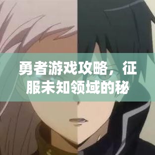 勇者游戏攻略，征服未知领域的秘密法宝！