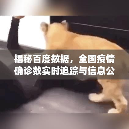 揭秘百度数据，全国疫情确诊数实时追踪与信息公开