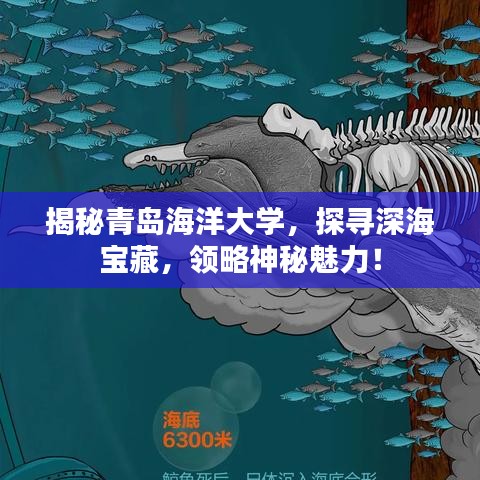 揭秘青岛海洋大学，探寻深海宝藏，领略神秘魅力！