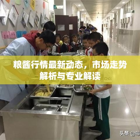 粮酱行情最新动态，市场走势解析与专业解读