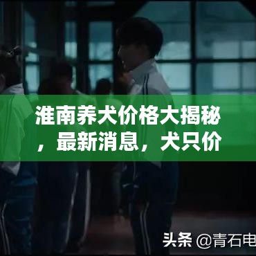淮南养犬价格大揭秘，最新消息，犬只价格查询！