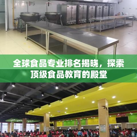 全球食品专业排名揭晓，探索顶级食品教育的殿堂