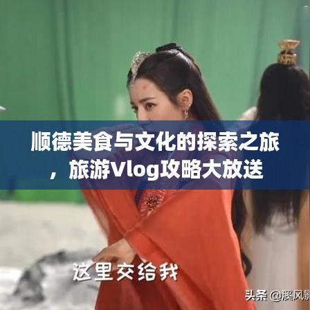 顺德美食与文化的探索之旅，旅游Vlog攻略大放送