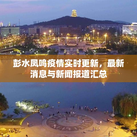 彭水凤鸣疫情实时更新，最新消息与新闻报道汇总