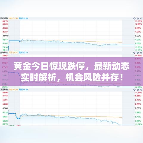 黄金今日惊现跌停,最新动态实时解析,机会风险并存!