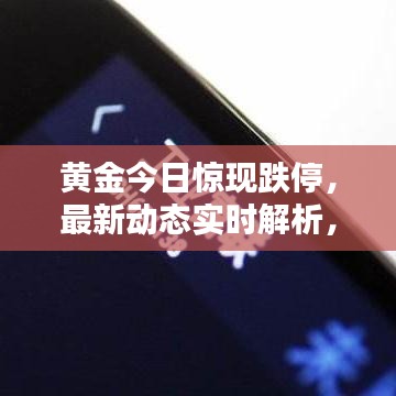 黄金今日惊现跌停,最新动态实时解析,机会风险并存!