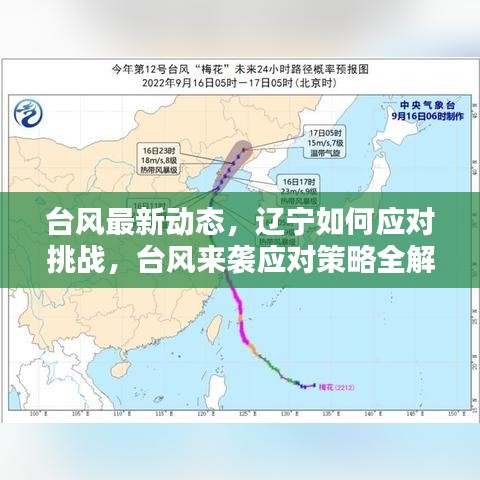 台风最新动态，辽宁如何应对挑战，台风来袭应对策略全解析