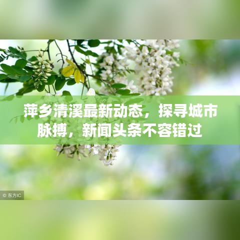 萍乡清溪最新动态，探寻城市脉搏，新闻头条不容错过
