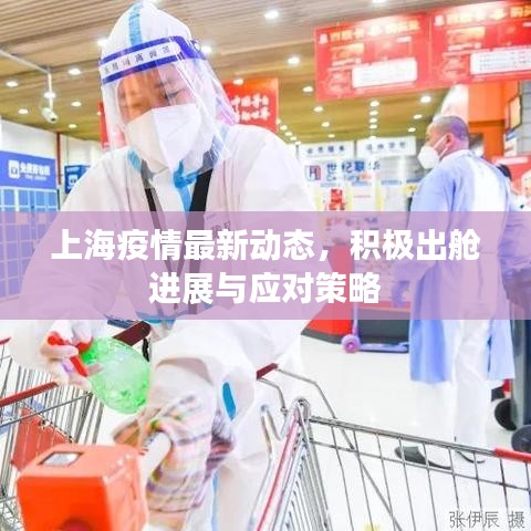 上海疫情最新动态,积极出舱进展与应对策略