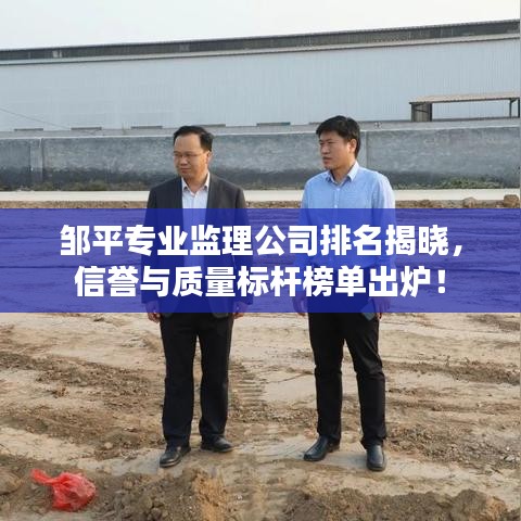 邹平专业监理公司排名揭晓，信誉与质量标杆榜单出炉！