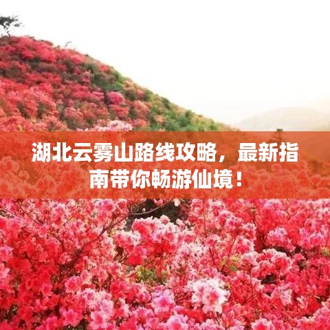 还淳反素 第6页