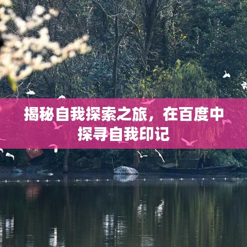 揭秘自我探索之旅，在百度中探寻自我印记