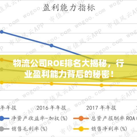 物流公司ROE排名大揭秘，行业盈利能力背后的秘密！