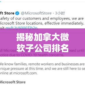 揭秘加拿大微软子公司排名及全球业务影响力不容小觑