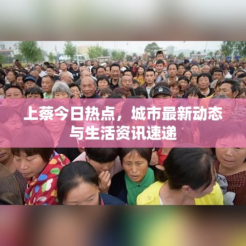 上蔡今日热点，城市最新动态与生活资讯速递
