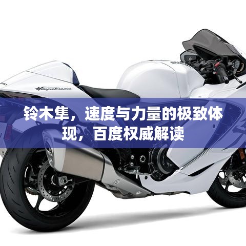 铃木隼，速度与力量的极致体现，百度权威解读