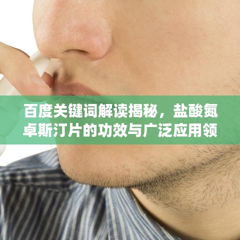 百度关键词解读揭秘，盐酸氮卓斯汀片的功效与广泛应用领域