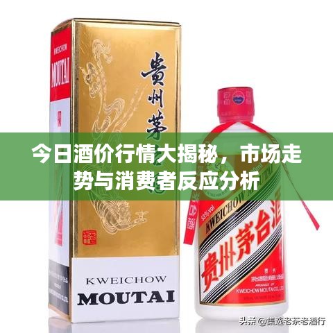 今日酒价行情大揭秘，市场走势与消费者反应分析