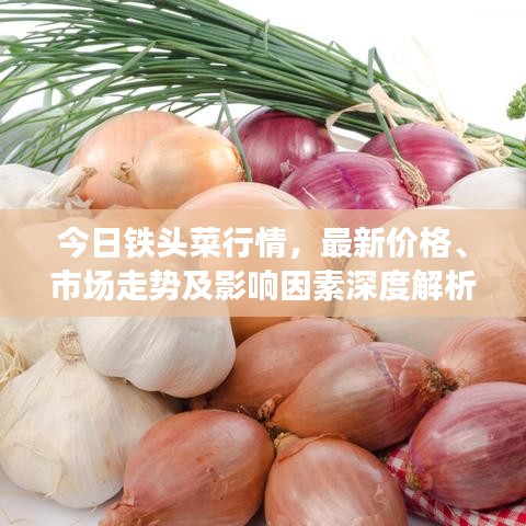 今日铁头菜行情，最新价格、市场走势及影响因素深度解析