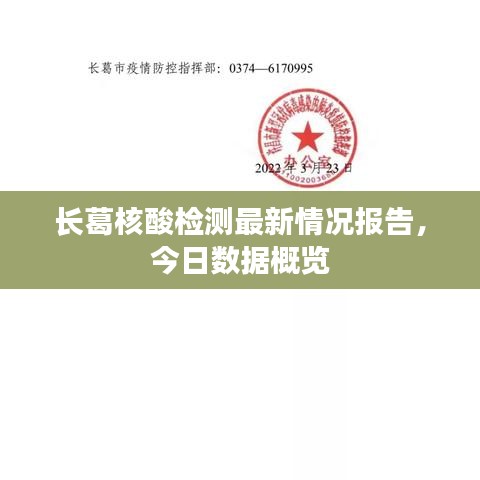 长葛核酸检测最新情况报告，今日数据概览