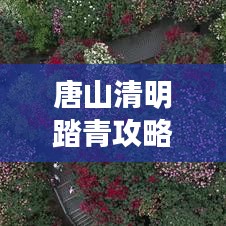 唐山清明踏青攻略,探索春天的唐山之旅