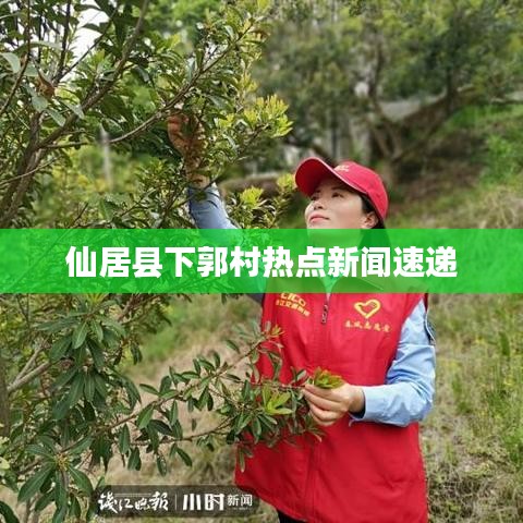 鸟语花香 第6页