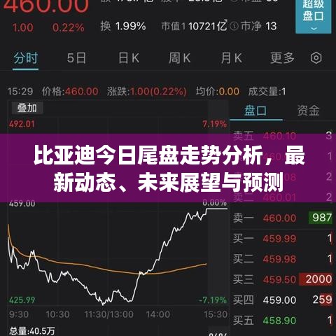 比亚迪今日尾盘走势分析，最新动态、未来展望与预测