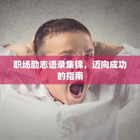 职场励志语录集锦，迈向成功的指南