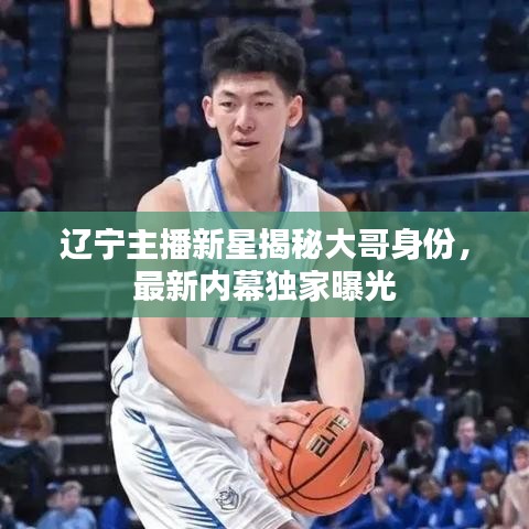 辽宁主播新星揭秘大哥身份,最新内幕独家曝光