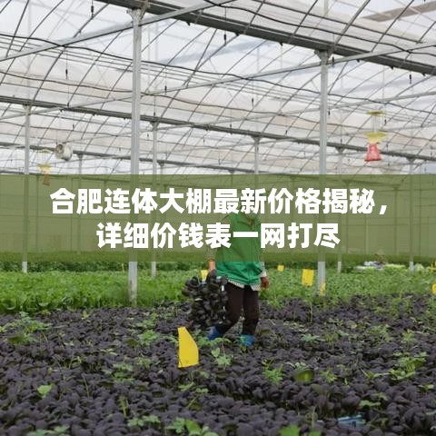 斗志昂扬 第7页