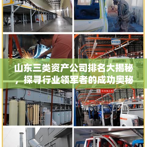 山东三类资产公司排名大揭秘，探寻行业领军者的成功奥秘！