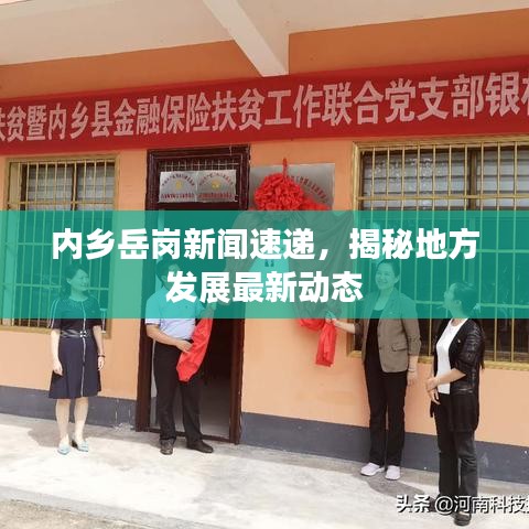 内乡岳岗新闻速递,揭秘地方发展最新动态