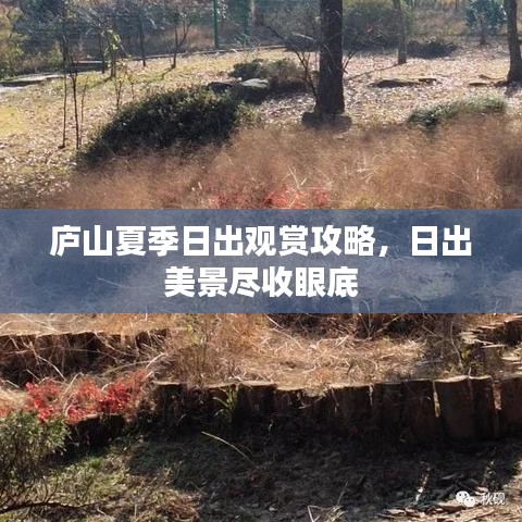 庐山夏季日出观赏攻略,日出美景尽收眼底