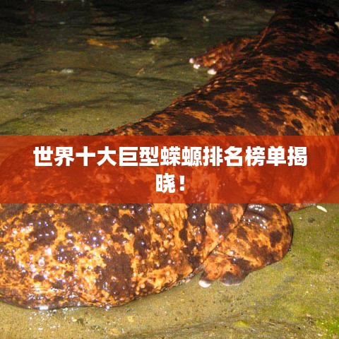 臼灶生蛙 第8页