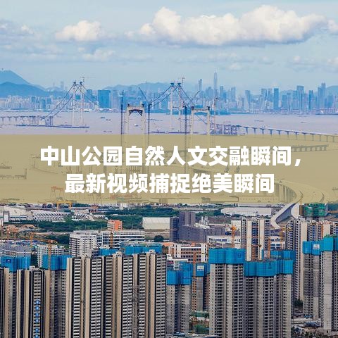 中山公园自然人文交融瞬间，最新视频捕捉绝美瞬间