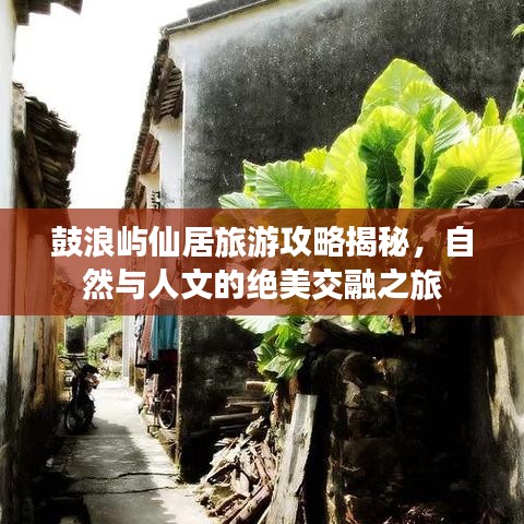 鼓浪屿仙居旅游攻略揭秘，自然与人文的绝美交融之旅