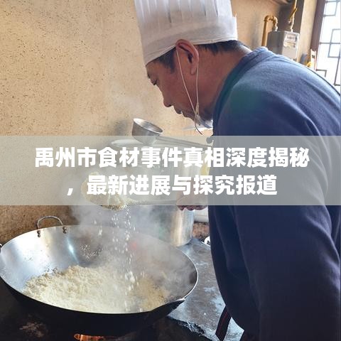 禹州市食材事件真相深度揭秘，最新进展与探究报道