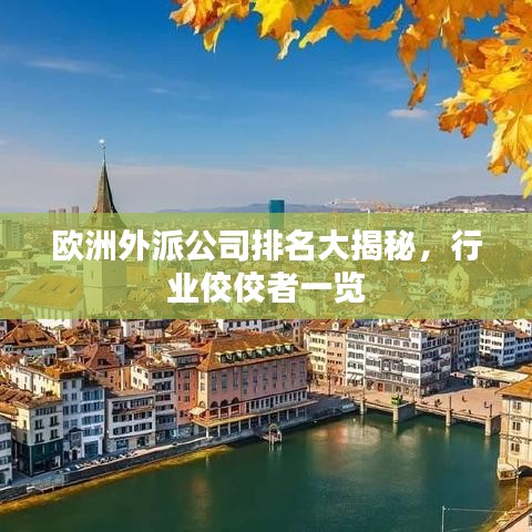 欧洲外派公司排名大揭秘，行业佼佼者一览