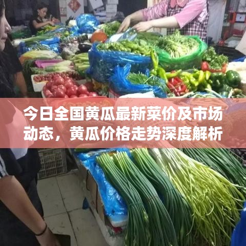 今日全国黄瓜最新菜价及市场动态，黄瓜价格走势深度解析