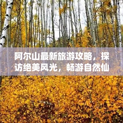 阿尔山最新旅游攻略，探访绝美风光，畅游自然仙境