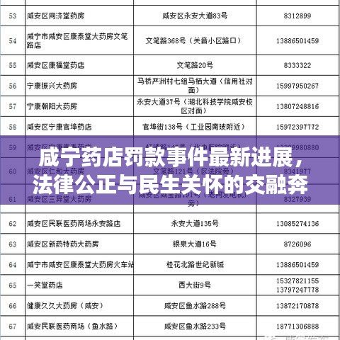 咸宁药店罚款事件最新进展，法律公正与民生关怀的交融奔赴