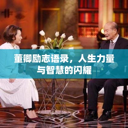 董卿励志语录,人生力量与智慧的闪耀