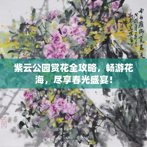 紫云公园赏花全攻略，畅游花海，尽享春光盛宴！