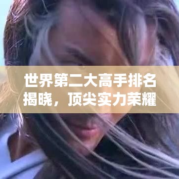 世界第二大高手排名揭晓，顶尖实力荣耀与风采揭秘图片欣赏