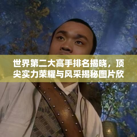 世界第二大高手排名揭晓,顶尖实力荣耀与风采揭秘图片欣赏